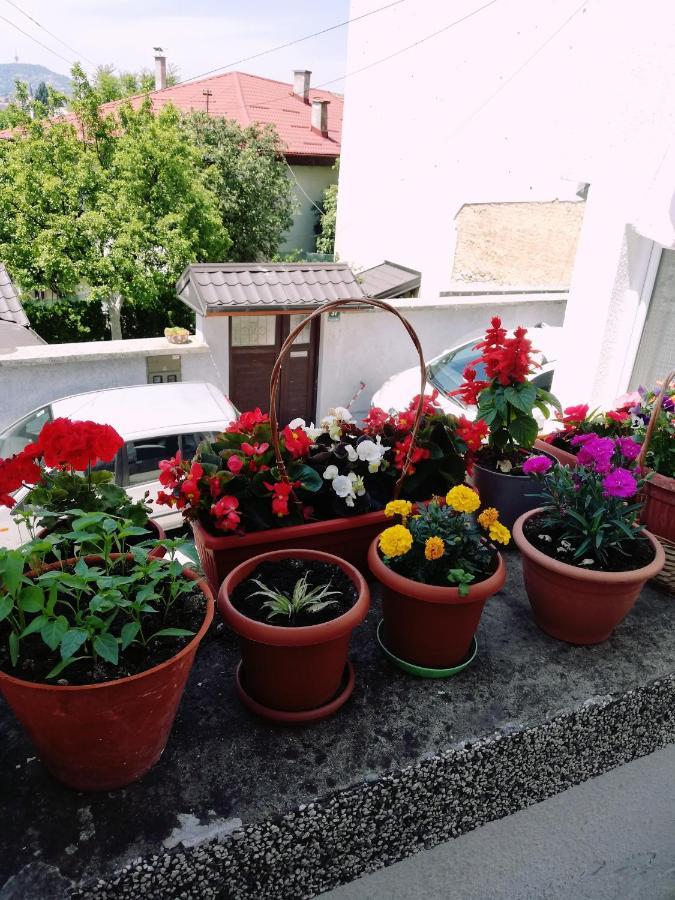 Apartman Ohren SJJ Extérieur photo