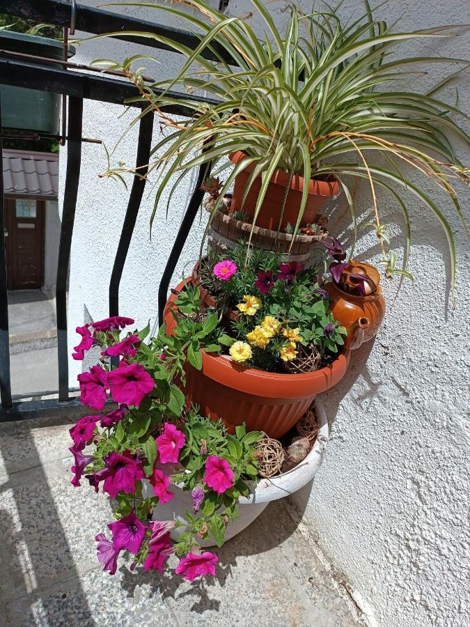 Apartman Ohren SJJ Extérieur photo
